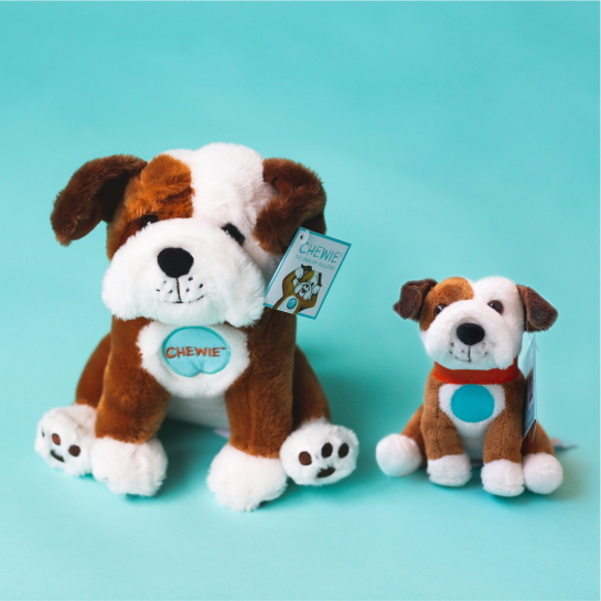 Two Chewie the English bulldog stuffed animals sit on a light turquoise background, one large and one small.