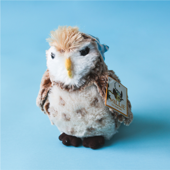 A white and light brown spotted Millie the owl stuffed animal sits on a light blue background.